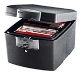 Sentry F3300 Fire-Safe Waterproof File, Letter/Lgl, Steel, 18-1/2 x 21-1/4 x 15-1/8, Charcoal
