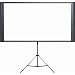 Epson Duet Ultra Portable Projection Screen, 80