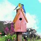 Woodstream Wildbird Bluebird House Cedar - 50302 50162 by WOODSTREAM WILDBIRD