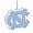 North Carolina Tar Heels