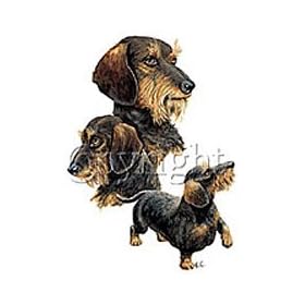 Dachshunds T-Shirts