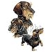 Wirehaired Dachshund Adult Long Sleeve T-Shirt