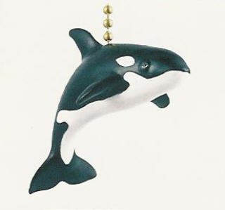 Orca Killer Whale Marine Fan Pull