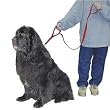 Coastal Loops 2 Nylon Dog Lead, Red, 6' x 1"