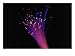 Close-up of Fiber Optic Cable Photos To Go Collection Photographic Poster Print by Tim Lynch, 32x24 Image
