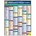 Commonly Misspelled And Confused Words (Quickstudy: Academic)