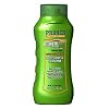 Primos Scent Eliminator Body Soap and Shampoo (16-Ounce)