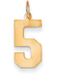 14k Yellow or White Gold Medium Polished Number 5 Charm
