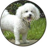 BICHON FRISE DOG Standing Fridge Magenet