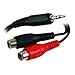 6Ft 3.5Mm-F To Dual Rca Jacks New Condition