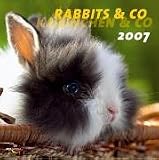 Produkt-Bild: Kaninchen & Co. / Rabbits & Co., Brosch&uuml;renkalender
