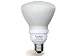 Wholesalebulbs.net FE-152-R40-19W 5000K