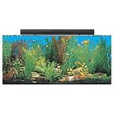 SeaClear System II Aquarium Combo