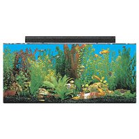 SeaClear Rectangular Aquarium Combo