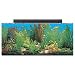 SeaClear Rectangular Aquarium Combo
