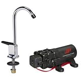 Johnson Pumps 61123 1.1 12V WPS/Faucet Combo, 15-Inch