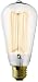 Antique Nostalgic Squirrel Cage Filament Bulb Reproduction