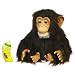 Furreal Friends Cuddle Chimp