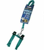 Health & Personal Care : Mp Ferret Harness&Lead Teal