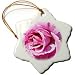 Sweet Summer Beauty Rose Flowers Photography - 3 Inch Snowflake Porcelain Ornament