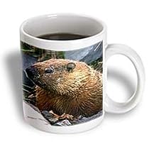 Wild animals - Groundhog - Mugs