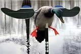 Sporting Goods : Huntwise Mojo Baby Mojo Motorized Duck Decoy