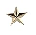 Forge 3D 5 Point Gold Star Lapel Pin (1 Pack)