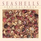 Cal 99 Seashells