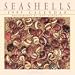 Book Seashells Calendar
