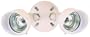 Heath/Zenith SL-5592-WH-A 100-Watt Twin Halogen Floodlight, Bulb and Backplate Included, White