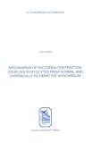 Mechanisms Of Excitation Contraction Coupling In Myocytes From Normal & Chronically Ischemic Pig Myocardium (Acta Biomedica Lovaniensia)