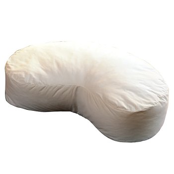 Kitchen: Sealy Sweet Pea Maternity Pillow