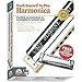 ALFRED Teach Yourself To Play Harmonica ( Windows/Macintosh )