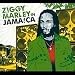 Ziggy Marley in Jamaica