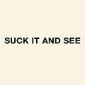Suck It And See