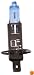Anzo USA 800011 12V 55W Super White H1 Twin Pack