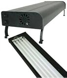 Nova Extreme HO Light Fixture - 4 x 39W - 36 in. - T5 HO
