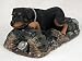 Rottweiler MyDog-Special Edition