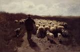 12X16 inch Mauve Anton Autumn Herdsman on the moor Sun Unedited