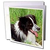 Dogs Border Collie - Border Collie - Greeting Cards-6 Greeting Cards with envelopes