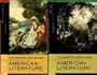The Norton Anthology of American Literature, Package 1: Volumes A and B