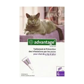 Bayer Advantage 80 Solution Antipuce Pour Chats de 4kg et Plus