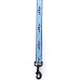 Casual Canine Nylon Adopt Dog Lead, 4-Feet, Blue