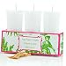 Set of 3 Votive Candles in Gift Box, Citron Du Sud Seda France Pagoda