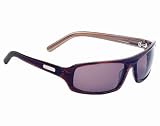 Anarchy Brown Stripe Gravity Sunglasses w/ Brown Lens