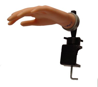 Best Price Nail * Professional Practice Hand * For Practice Manicure * With Counter Clamp