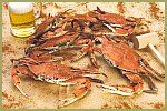 Select Male Hard Crabs (Steamed), 1 Dozen by CrabPlace.com