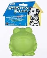 JW Darwin the Frog Small