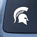 Michigan State Spartans - Car, Truck, Notebook, Vinyl Decal Sticker #2719 | Vinyl Color: White