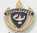 Social Studies Lapel Pins (10-Pack)